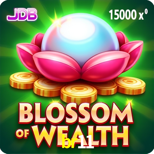 br11.com